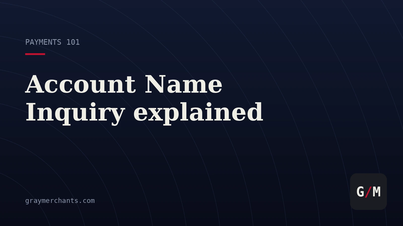 Account Name Inquiry: What ANI Checks and Who It Skips